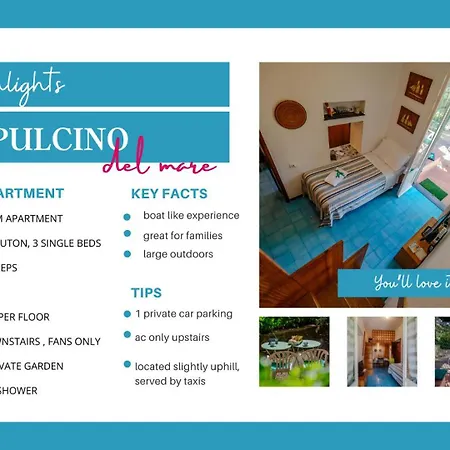 Il Pulcino Del Mare Unique Boat Like Retreat 公寓 蒙特罗索阿尔马雷